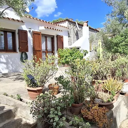 Casa Alma Welcomely